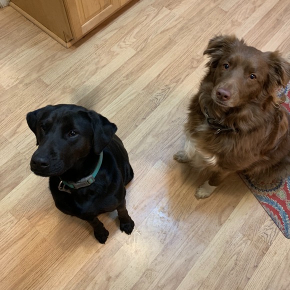 Meet your Posher, Big - Picture 1 of 1